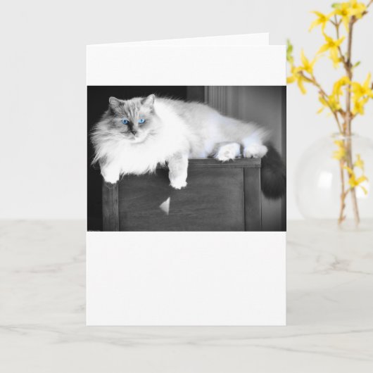 Blauwe ogen, kaart (Gele Bloem)