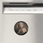 Blauwe ogen magneet (Insitu (Vaatwasser))