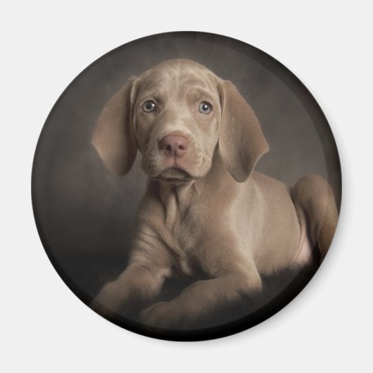 Blauwe ogen magneet (Voorkant)