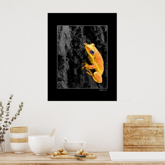 Blauwe ogen poster (Keuken)