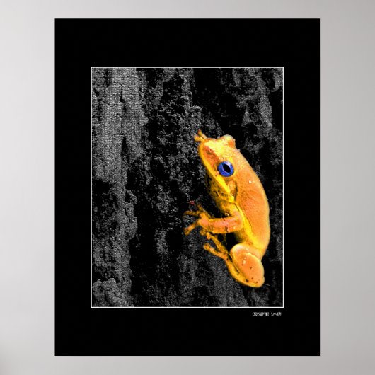 Blauwe ogen poster (Voorkant)