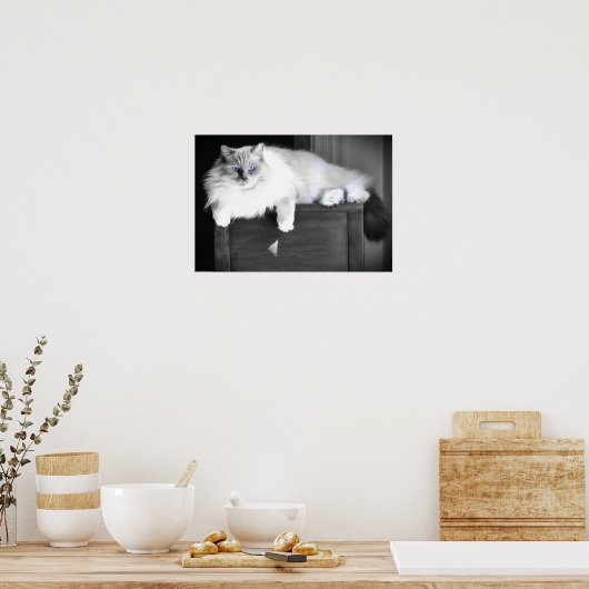 Blauwe ogen, poster (Keuken)