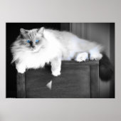 Blauwe ogen, poster (Voorkant)