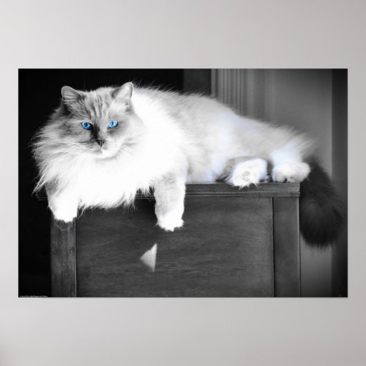 Blauwe ogen, poster (Voorkant)