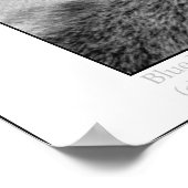 Blauwe ogen poster (Hoek)