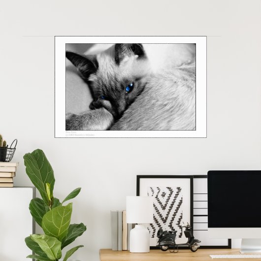 Blauwe ogen poster (Thuiskantoor)