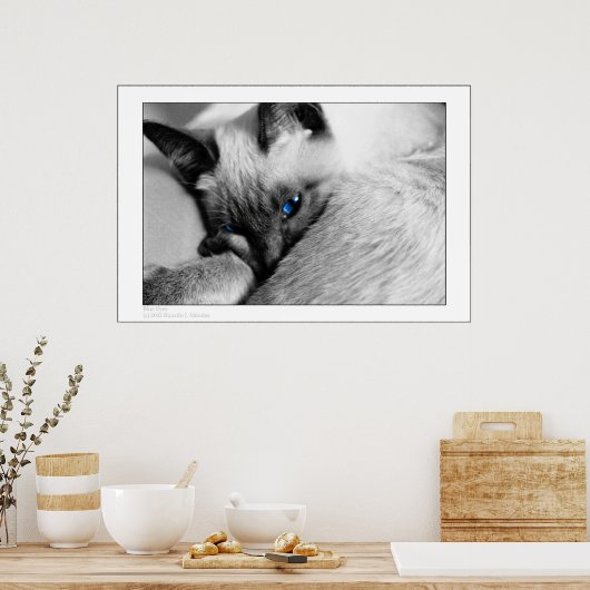 Blauwe ogen poster (Keuken)