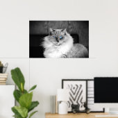 Blauwe ogen, poster (Thuiskantoor)