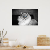 Blauwe ogen, poster (Keuken)