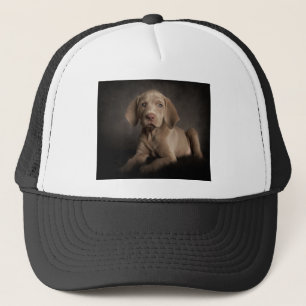 Blauwe ogen trucker pet