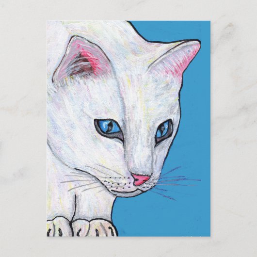 Blauwe Ogen Witte Kat Briefkaart (Voorkant)