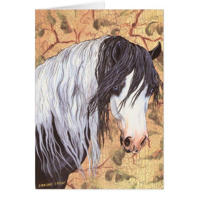 Blauwe ogen, zigeunerpaarden (Voorkant)