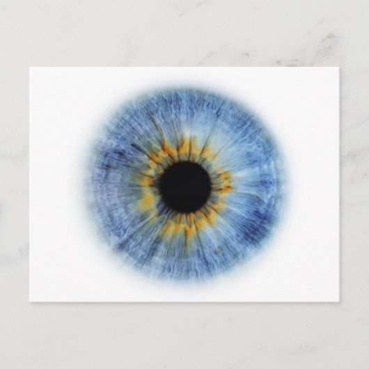 Blauwe Oogappel Briefkaart (Voorkant)