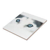 Blauwe ooghonden kunnen de wind zien tegeltje (Zijkant)