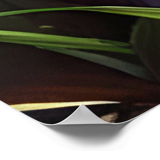 Blauwe oogkat in de Bossen Poster (Hoek)