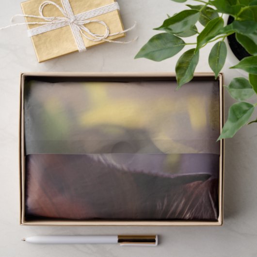 Blauwe oogkat in de Bossen Tissuepapier (Geschenk)