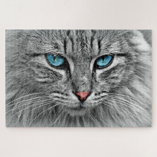 Blauwe oogkat legpuzzel (Horizontaal)