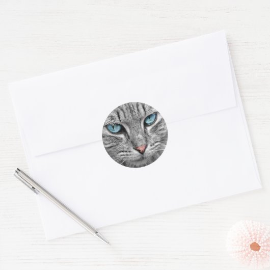 Blauwe oogstickers ronde sticker (Envelop)