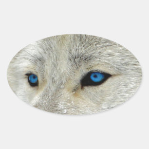 Blauwe Oogwitte Wolf Ovale Sticker