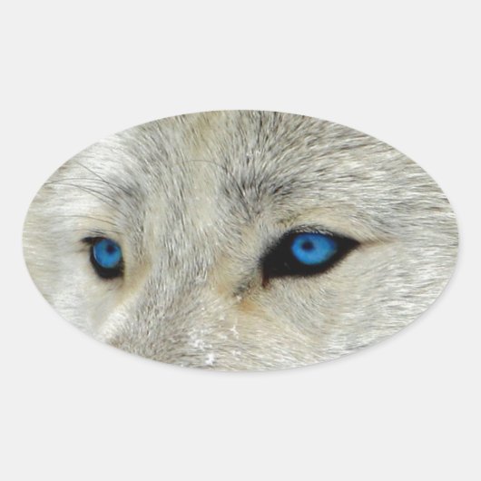 Blauwe Oogwitte Wolf Ovale Sticker (Voorkant)
