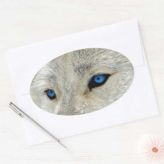 Blauwe Oogwitte Wolf Ovale Sticker (Envelop)