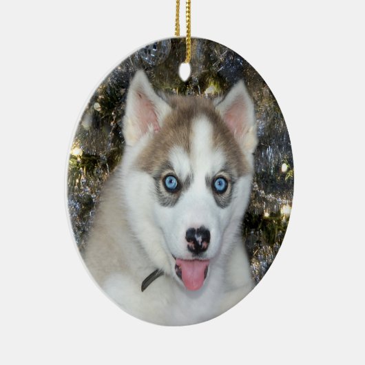 Blauwe ooise Siberian Husky Kerstmis Keramisch Ornament (Rechts)