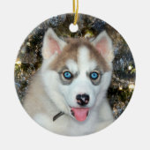 Blauwe ooise Siberian Husky Kerstmis Keramisch Ornament (Voorkant)