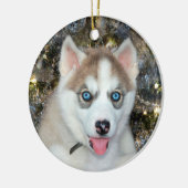 Blauwe ooise Siberian Husky Kerstmis Keramisch Ornament (Links)