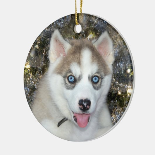 Blauwe ooise Siberian Husky Kerstmis Keramisch Ornament (Links)