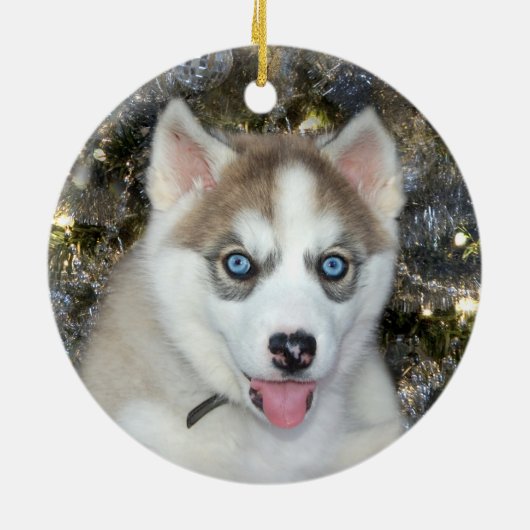 Blauwe ooise Siberian Husky Kerstmis Keramisch Ornament (Achterkant)
