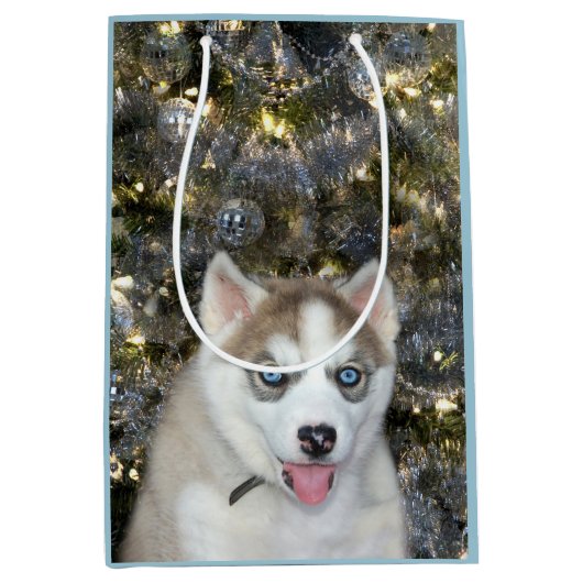 Blauwe ooise Siberian Husky Kerstmis Medium Cadeauzakje (Voorkant)