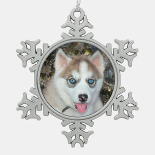 Blauwe ooise Siberian Husky Kerstmis Tin Sneeuwvlok Ornament