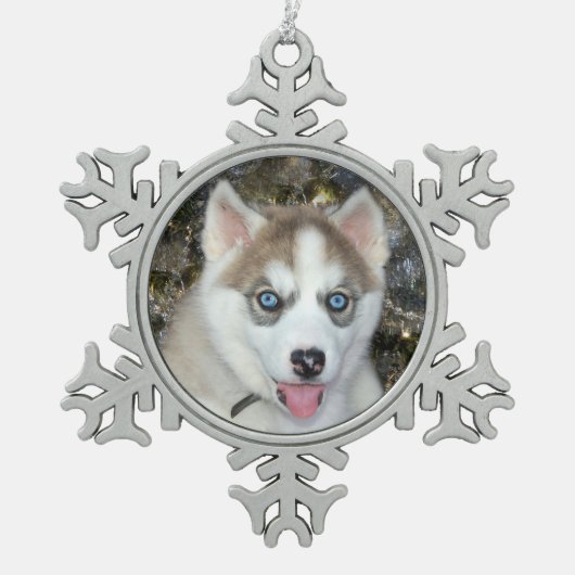 Blauwe ooise Siberian Husky Kerstmis Tin Sneeuwvlok Ornament (Voorkant)