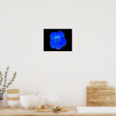 Blauwe Oostindische Kers Print (Keuken)