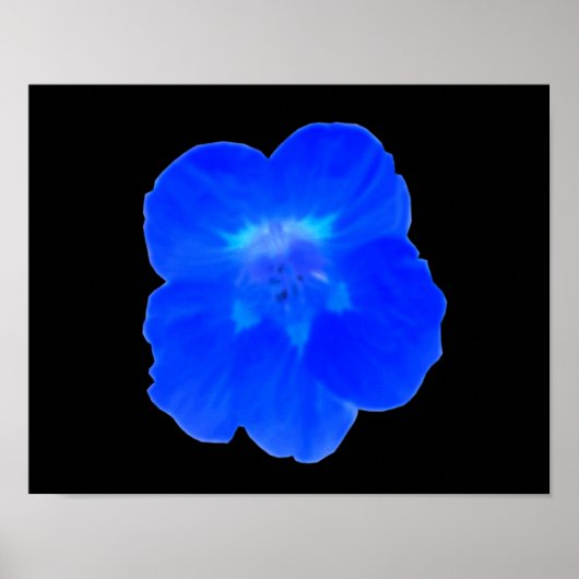 Blauwe Oostindische Kers Print (Voorkant)