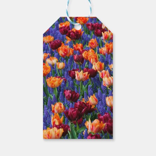 Blauwe, Oranje en rode bloemen Cadeaulabel (Achterkant)