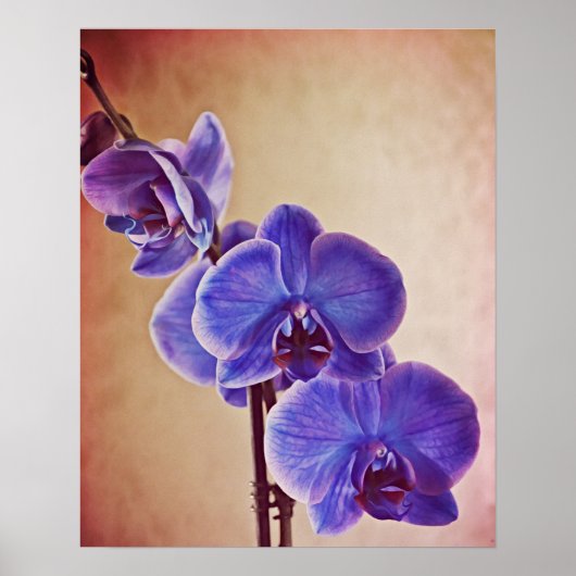 Blauwe orchidee fotografische kunst afdrukken poster (Voorkant)