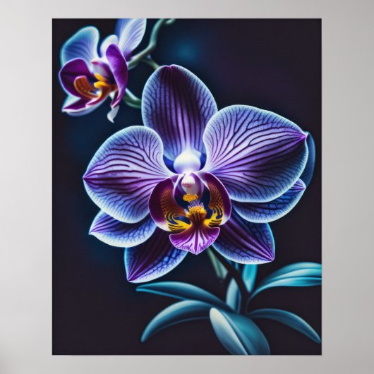 Blauwe Orchidee II Poster (Voorkant)