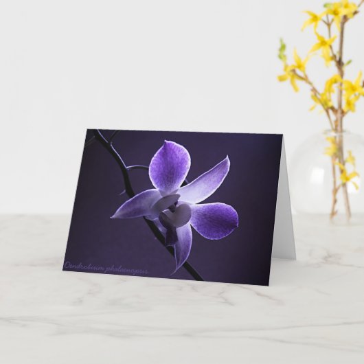 Blauwe Orchidee Kaart (Gele Bloem)