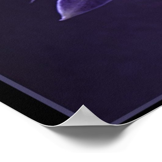 Blauwe orchidee poster (Hoek)