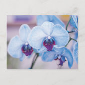 Blauwe orchideeën briefkaart (Voorkant)
