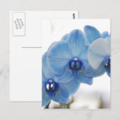 Blauwe orchideeën briefkaart (Voorkant / Achterkant)