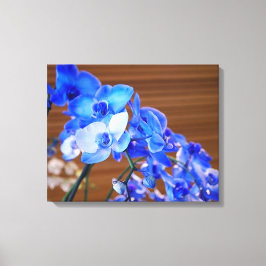 Blauwe orchideeën canvas afdruk (Voorkant)