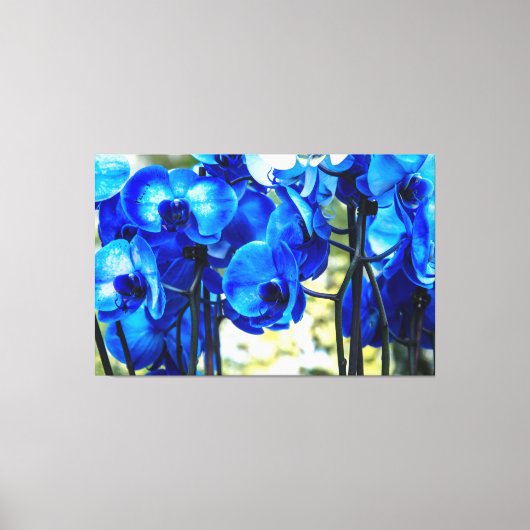 Blauwe orchideeën canvas afdruk (Voorkant)