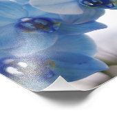 Blauwe orchideeën foto afdruk (Hoek)