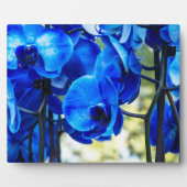 Blauwe orchideeën fotoplaat (Voorkant)