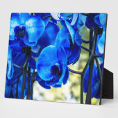 Blauwe orchideeën fotoplaat (Zijkant)