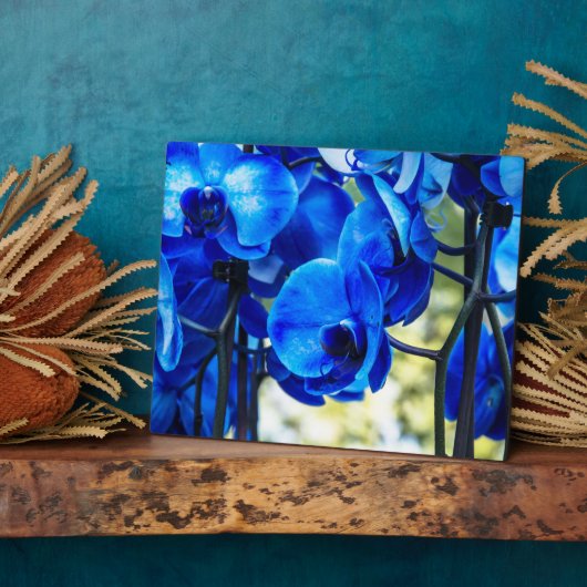 Blauwe orchideeën fotoplaat (Zijkant)