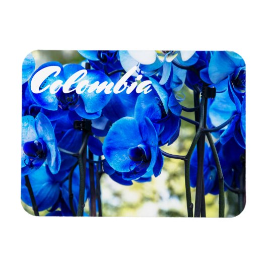 Blauwe orchideeën magneet (Horizontaal)