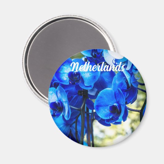 Blauwe orchideeën magneet (Voorkant / Achterkant)